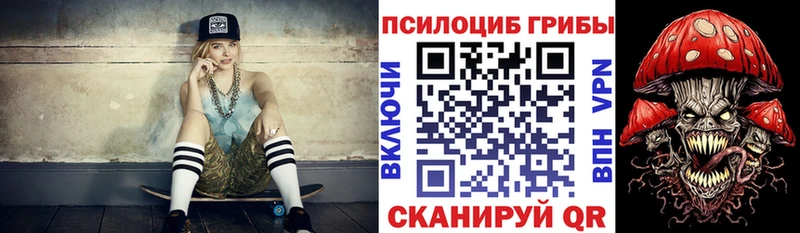 как найти закладки  Крымск  гидра как зайти  Псилоцибиновые грибы Psilocybine cubensis 