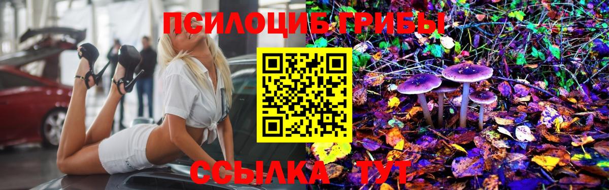 Крымск  Псилоцибиновые грибы GOLDEN TEACHER  Вход с VPN  Галлюциногенные грибы Cubensis 